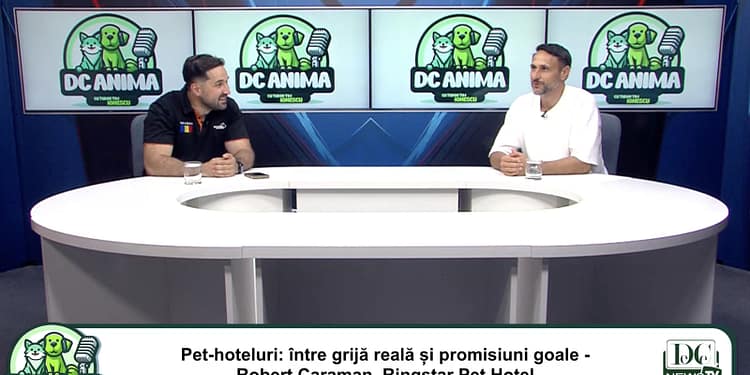Pleci în concediu și n-ai idee ce să faci cu animalul tău de companie? Robert Caraman are răspunsul / video