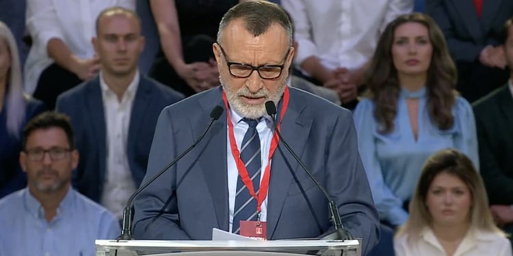 Paul Stănescu merge la Curtea de Conturi? S-a decis