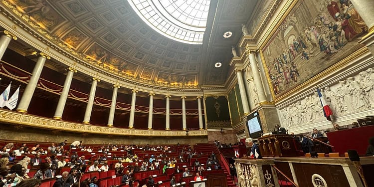 Senatorul Sorin-Mihai Cîmpeanu, voce activă a României la cea de-a 50-a Sesiune a Adunării Parlamentare a Francofoniei de la Paris