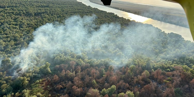 Incendiu de vegetație la Chilia Veche. Elicopterul Black Hawk, trimis să intervină