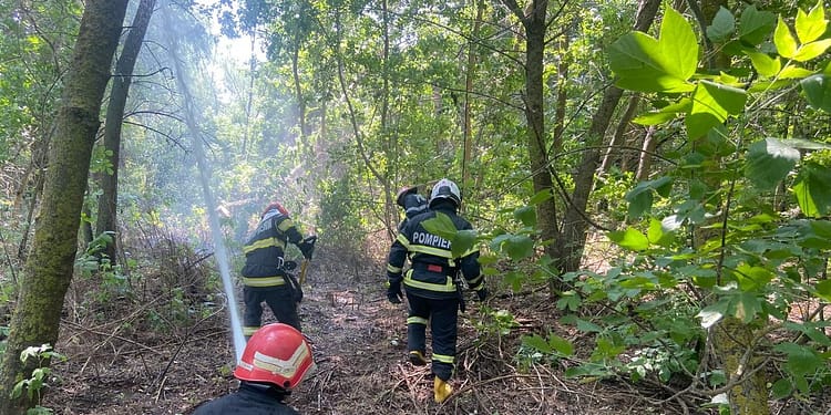Pompierii luptă cu 16 incendii majore în șase județe: peste 1.000 de hectare afectate