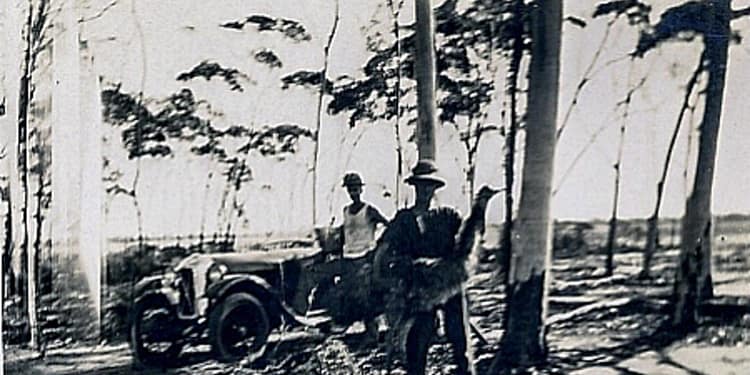 Cele mai bizare și penibile războaie din istoria umanității. Când armatele au fost învinse de păsări și găleți