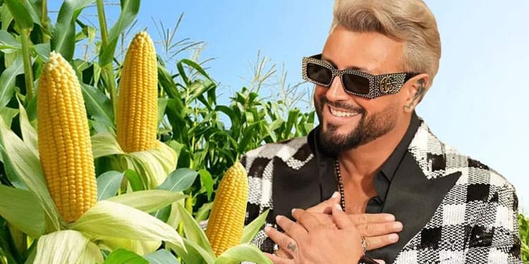 Botezatu propune o metodă revoluționară de stocare a energiei: împingeți nămolul la deal!