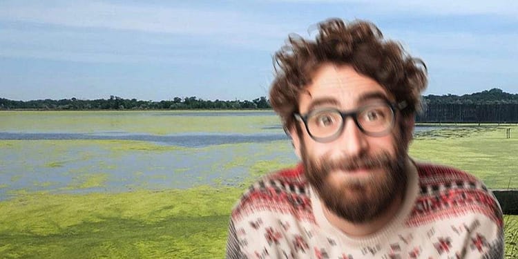 Lacul Herăstrău, plin de mătasea broaştei, băut de hipsteri care credeau că e matcha