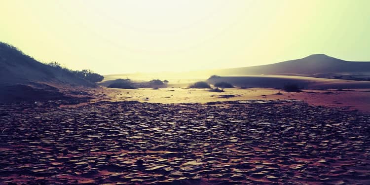 Seceta a crescut preţul terenurilor agricole irigabile sau compacte