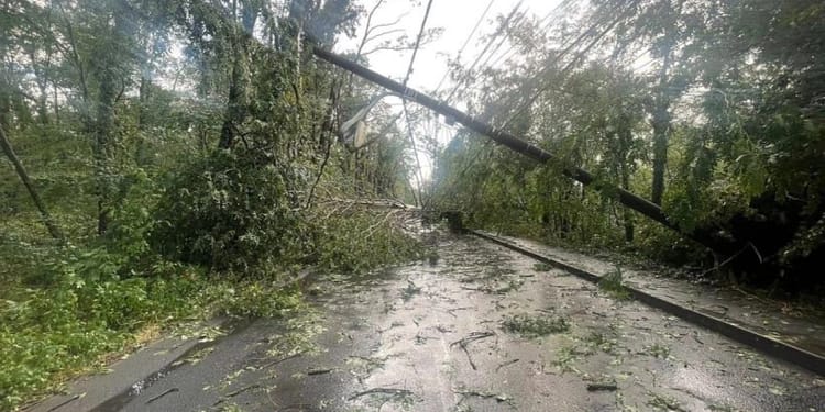 VIDEO FOTO Vremea extremă a făcut prăpăd în mai multe zone din țară, inclusiv în Capitală: ninsori, copaci doborâți de vânt, drumuri blocate și mașini avariate