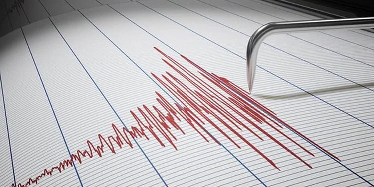 Cutremur în judeţul Buzău. Ce magnitudine a avut