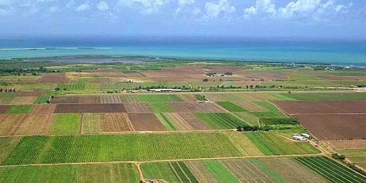 Lovitură pentru agricultori: crește cu 140% baza de impozitare a terenurilor