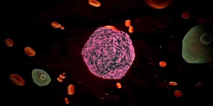 Revine febra tifoidă? O tulpină rezistentă a ceea ce se credea a fi ‘boala vremurilor de demult’ se răspândește din nou pe glob. Cercetătorii au lansat deja avertismente