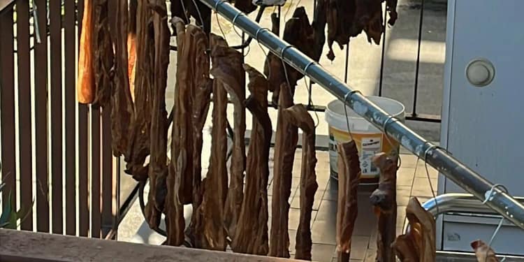 Șoc în Italia: Hălci de carne și afumături, puse ‘la uscat’ pe balcon, sânge picurând pe sub ferestre: ‘La noi în țară e normal’