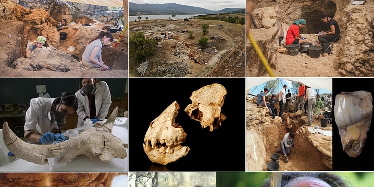 Neanderthalienii, vânători de femei și copii? Descoperirile șocante care scot la iveală o realitate cruntă a Europei preistorice