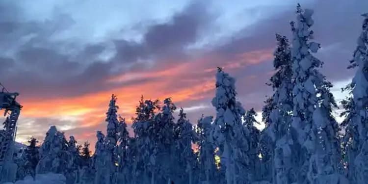 Unde-și petrec românii sărbătorile de iarnă: de la vacanțe însorite în locuri exotice, la peisaje autohtone și mâncare tradițională